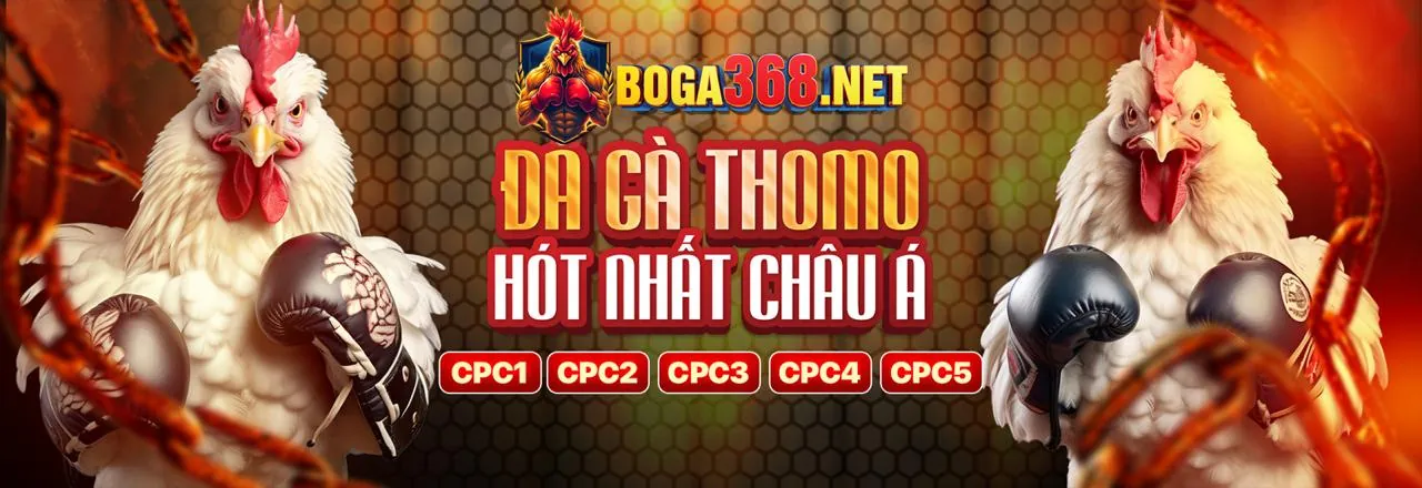 Các loại hình đá gà one888 app